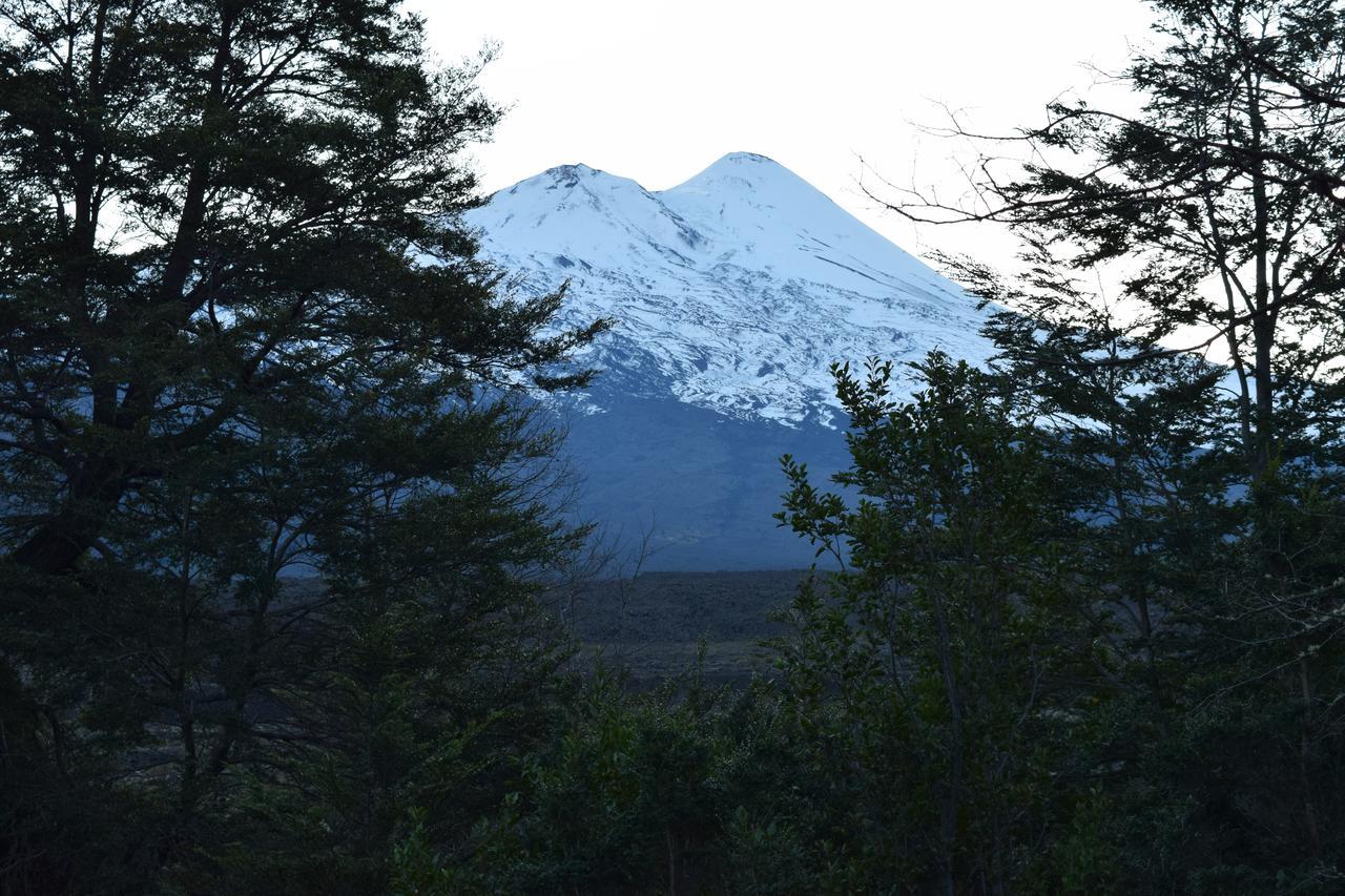 Vista Hermosa Conguillio Villa Екстериор снимка