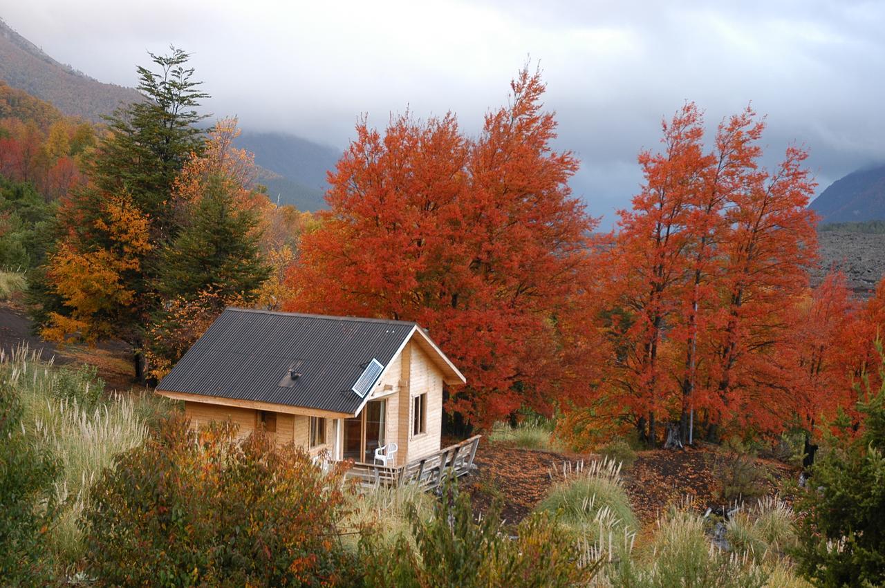 Vista Hermosa Conguillio Villa Екстериор снимка