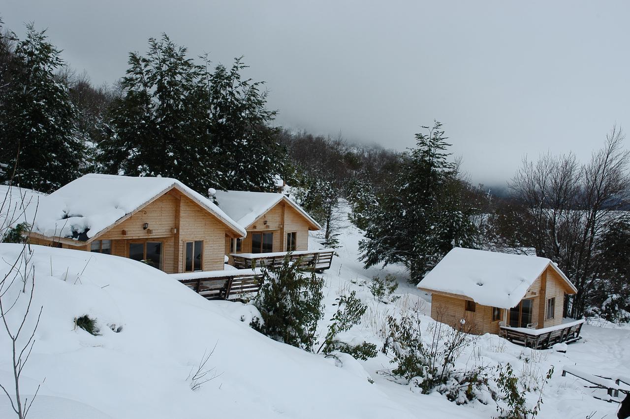 Vista Hermosa Conguillio Villa Екстериор снимка